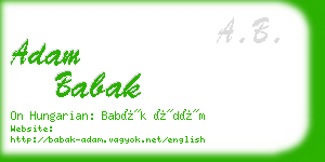 adam babak business card